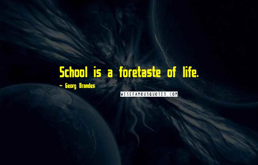 Georg Brandes Quotes: School is a foretaste of life.