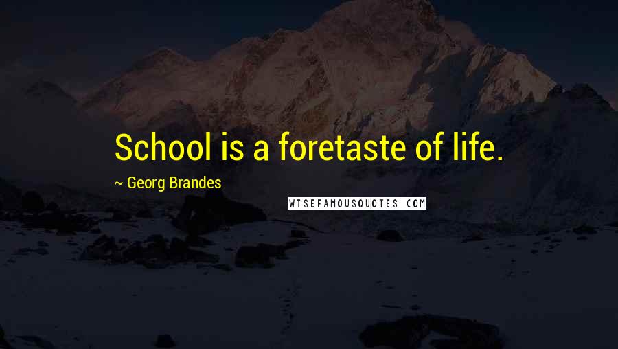 Georg Brandes Quotes: School is a foretaste of life.