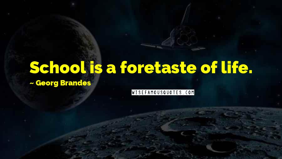 Georg Brandes Quotes: School is a foretaste of life.