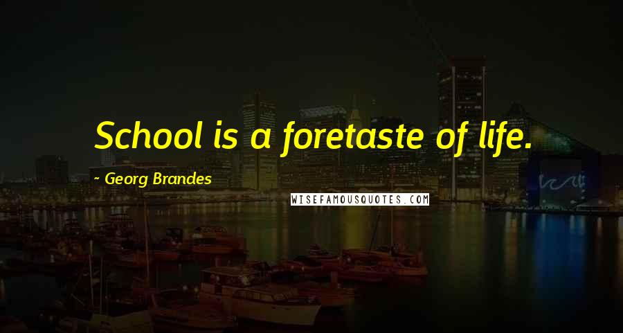 Georg Brandes Quotes: School is a foretaste of life.