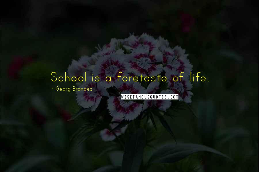 Georg Brandes Quotes: School is a foretaste of life.