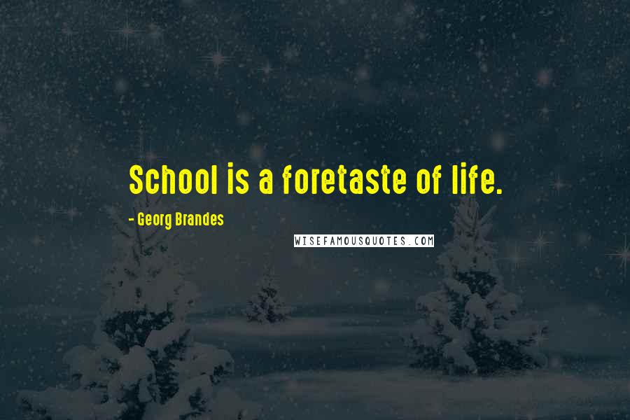 Georg Brandes Quotes: School is a foretaste of life.