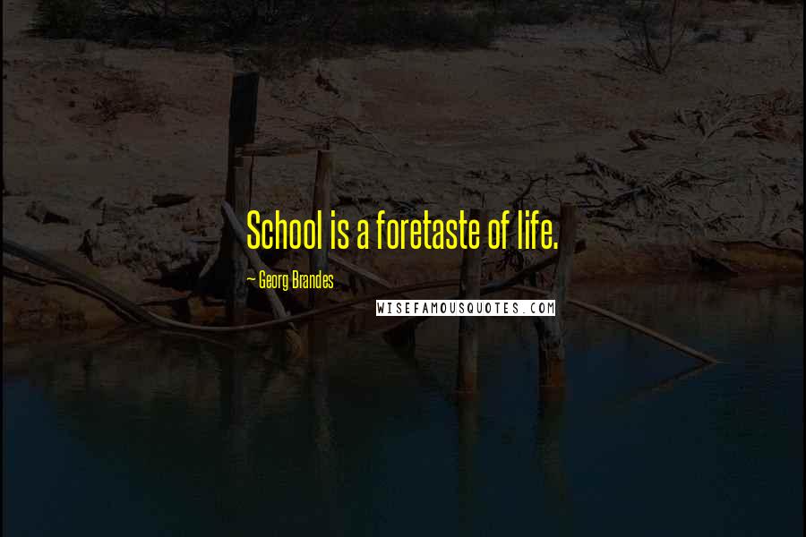 Georg Brandes Quotes: School is a foretaste of life.