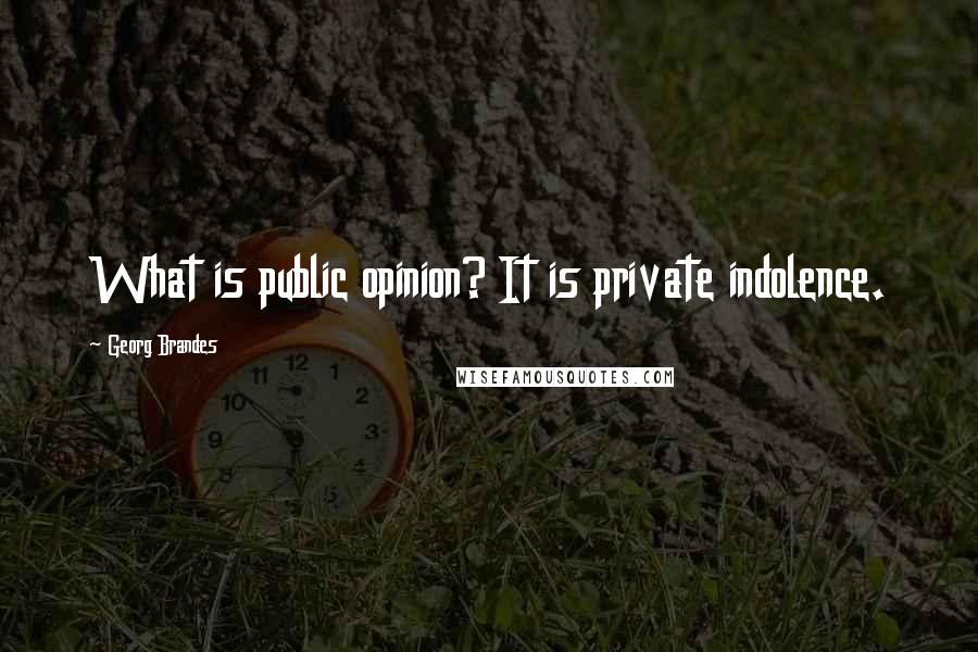 Georg Brandes Quotes: What is public opinion? It is private indolence.