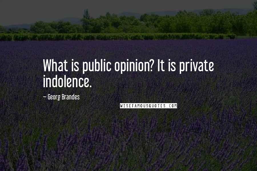 Georg Brandes Quotes: What is public opinion? It is private indolence.