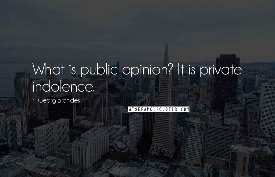 Georg Brandes Quotes: What is public opinion? It is private indolence.