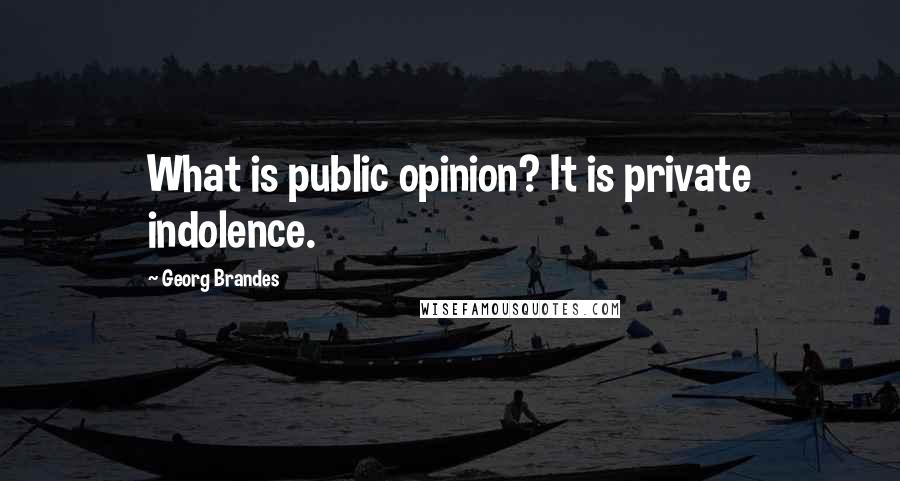 Georg Brandes Quotes: What is public opinion? It is private indolence.