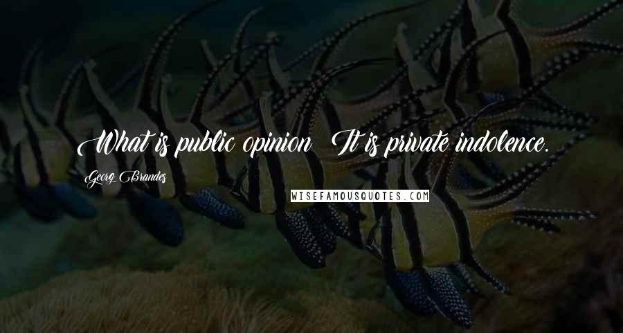 Georg Brandes Quotes: What is public opinion? It is private indolence.