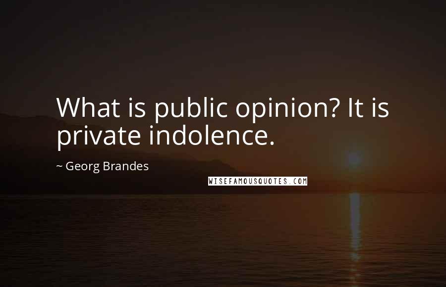 Georg Brandes Quotes: What is public opinion? It is private indolence.