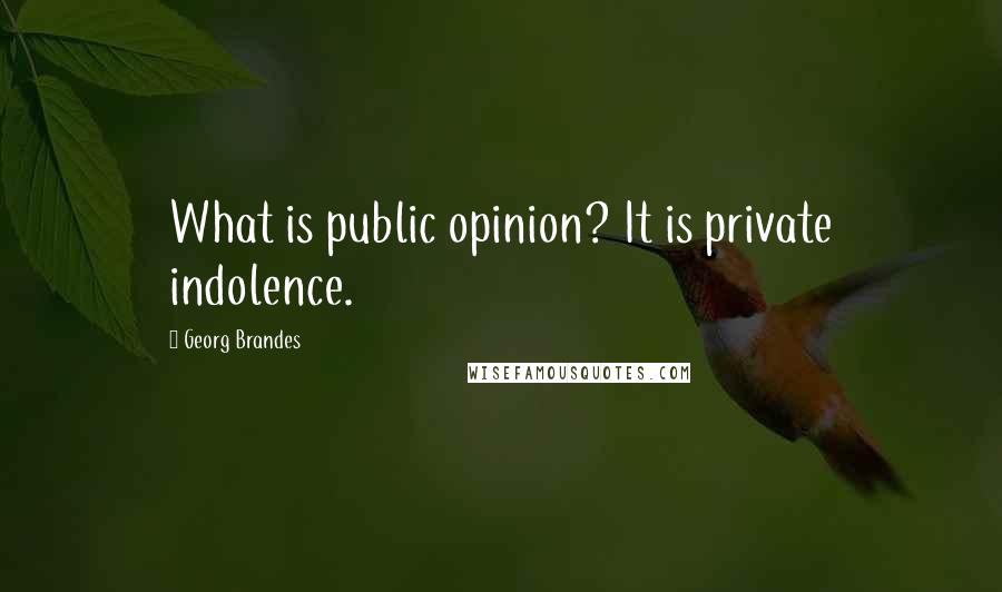 Georg Brandes Quotes: What is public opinion? It is private indolence.