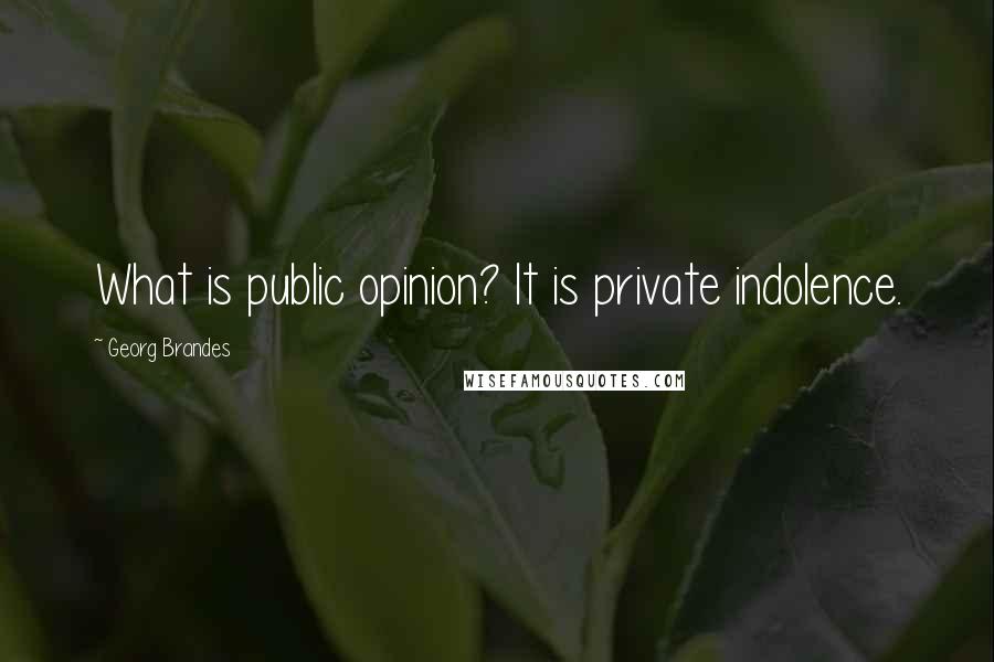 Georg Brandes Quotes: What is public opinion? It is private indolence.