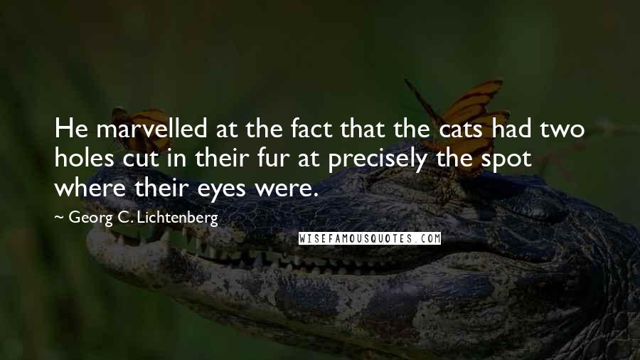 Georg C. Lichtenberg Quotes: He marvelled at the fact that the cats had two holes cut in their fur at precisely the spot where their eyes were.