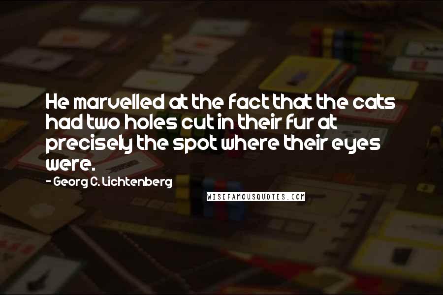 Georg C. Lichtenberg Quotes: He marvelled at the fact that the cats had two holes cut in their fur at precisely the spot where their eyes were.