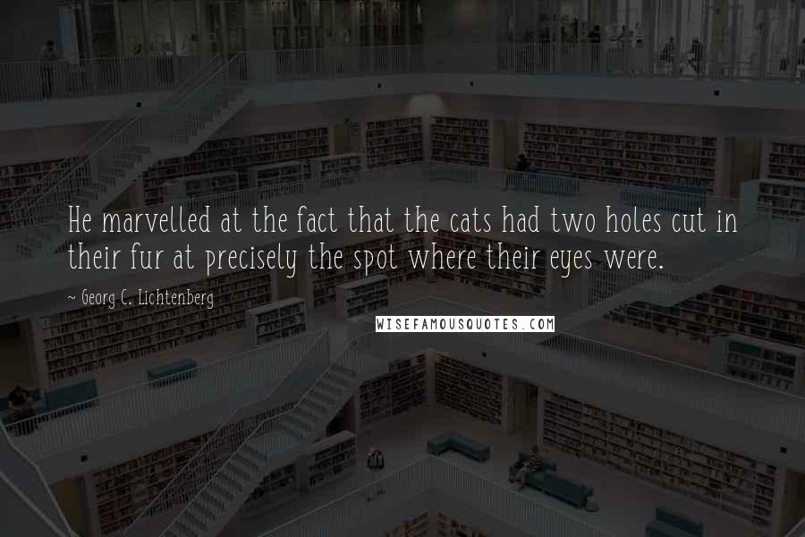 Georg C. Lichtenberg Quotes: He marvelled at the fact that the cats had two holes cut in their fur at precisely the spot where their eyes were.