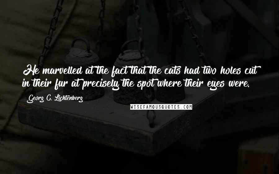 Georg C. Lichtenberg Quotes: He marvelled at the fact that the cats had two holes cut in their fur at precisely the spot where their eyes were.