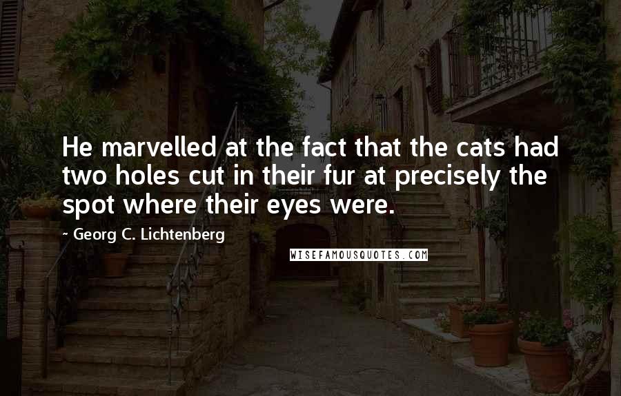 Georg C. Lichtenberg Quotes: He marvelled at the fact that the cats had two holes cut in their fur at precisely the spot where their eyes were.