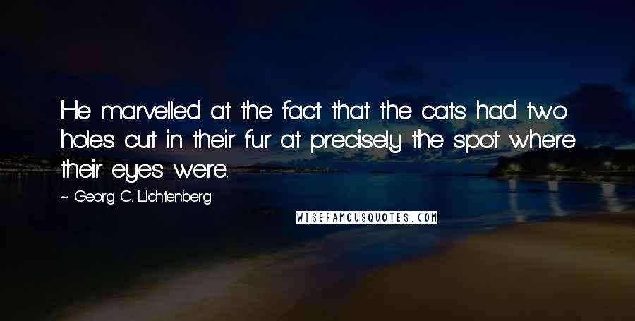 Georg C. Lichtenberg Quotes: He marvelled at the fact that the cats had two holes cut in their fur at precisely the spot where their eyes were.