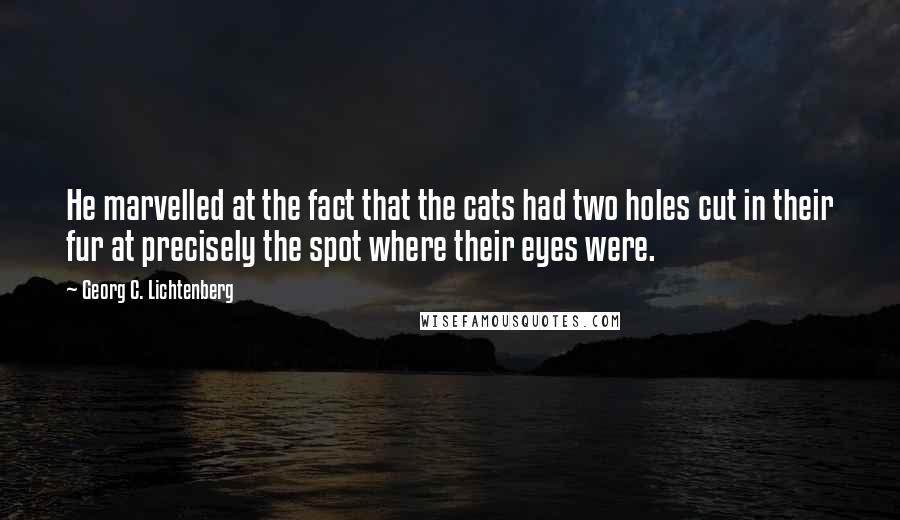 Georg C. Lichtenberg Quotes: He marvelled at the fact that the cats had two holes cut in their fur at precisely the spot where their eyes were.