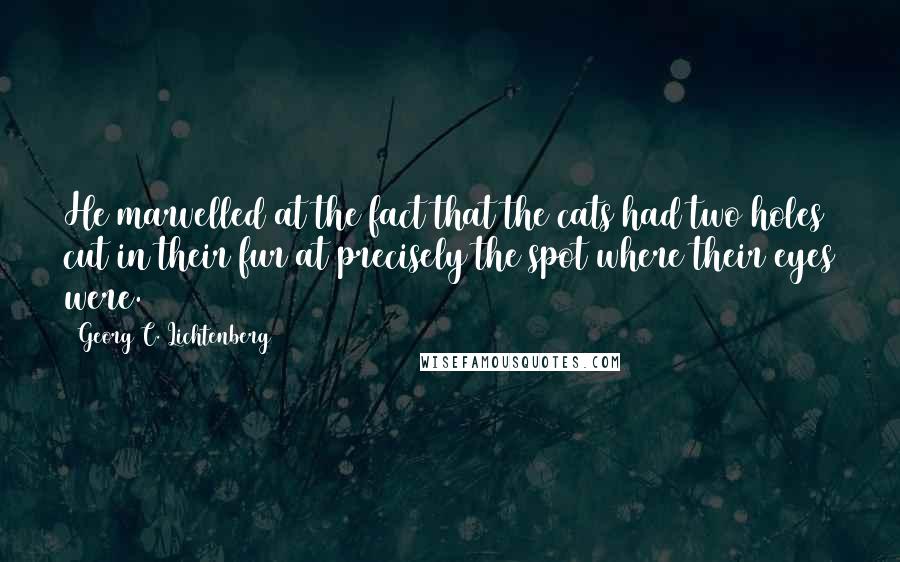 Georg C. Lichtenberg Quotes: He marvelled at the fact that the cats had two holes cut in their fur at precisely the spot where their eyes were.