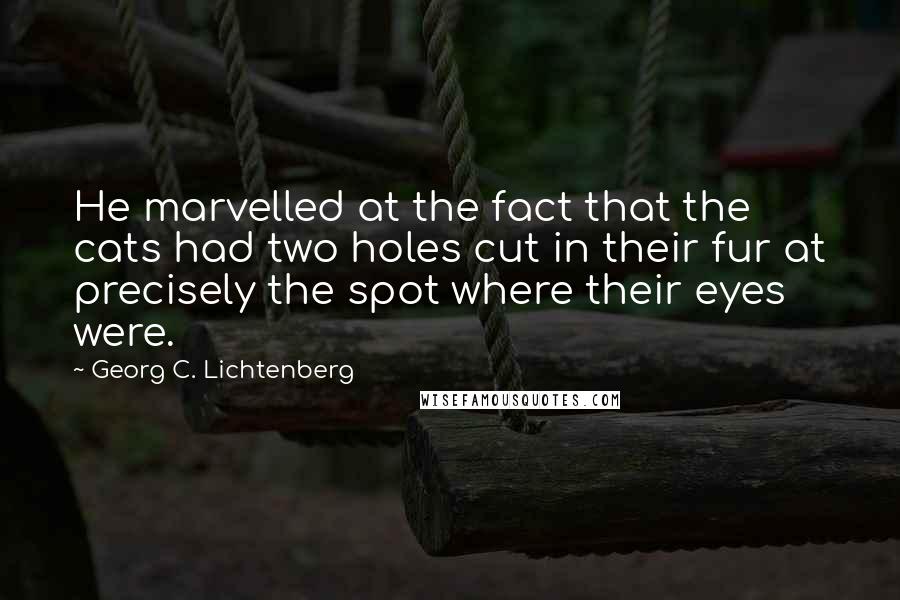 Georg C. Lichtenberg Quotes: He marvelled at the fact that the cats had two holes cut in their fur at precisely the spot where their eyes were.