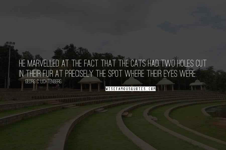 Georg C. Lichtenberg Quotes: He marvelled at the fact that the cats had two holes cut in their fur at precisely the spot where their eyes were.