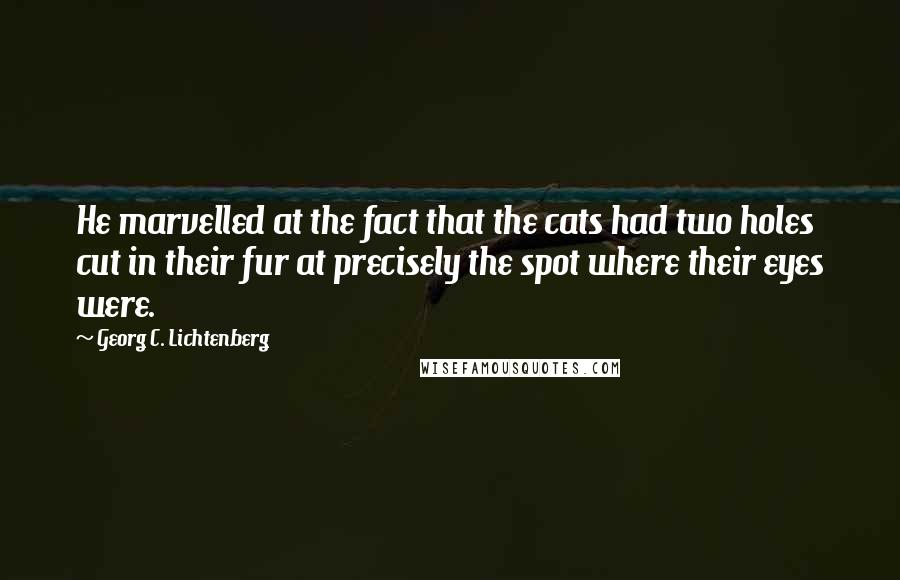 Georg C. Lichtenberg Quotes: He marvelled at the fact that the cats had two holes cut in their fur at precisely the spot where their eyes were.