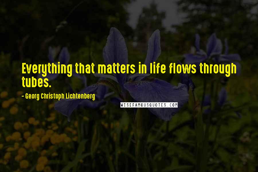 Georg Christoph Lichtenberg Quotes: Everything that matters in life flows through tubes.