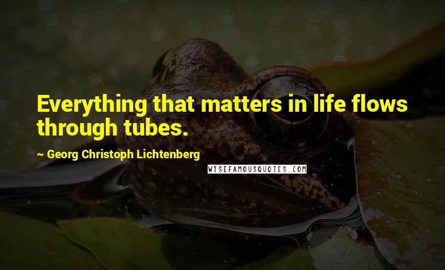 Georg Christoph Lichtenberg Quotes: Everything that matters in life flows through tubes.