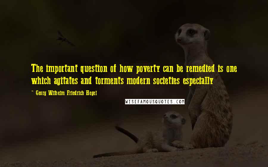 Georg Wilhelm Friedrich Hegel Quotes: The important question of how poverty can be remedied is one which agitates and torments modern societies especially