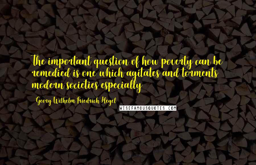 Georg Wilhelm Friedrich Hegel Quotes: The important question of how poverty can be remedied is one which agitates and torments modern societies especially
