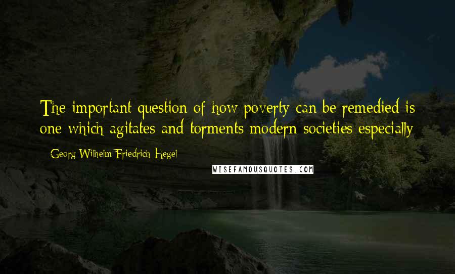 Georg Wilhelm Friedrich Hegel Quotes: The important question of how poverty can be remedied is one which agitates and torments modern societies especially