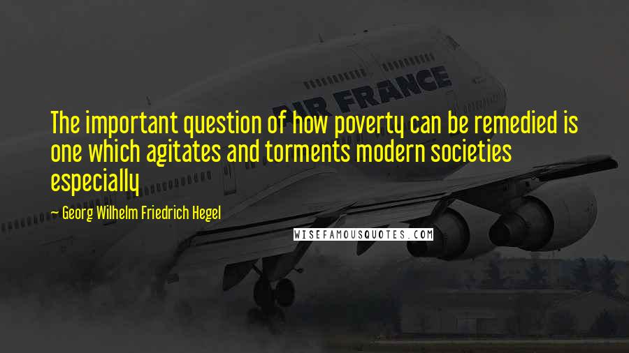 Georg Wilhelm Friedrich Hegel Quotes: The important question of how poverty can be remedied is one which agitates and torments modern societies especially