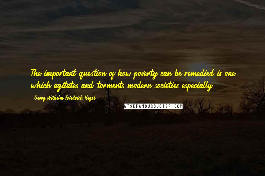 Georg Wilhelm Friedrich Hegel Quotes: The important question of how poverty can be remedied is one which agitates and torments modern societies especially