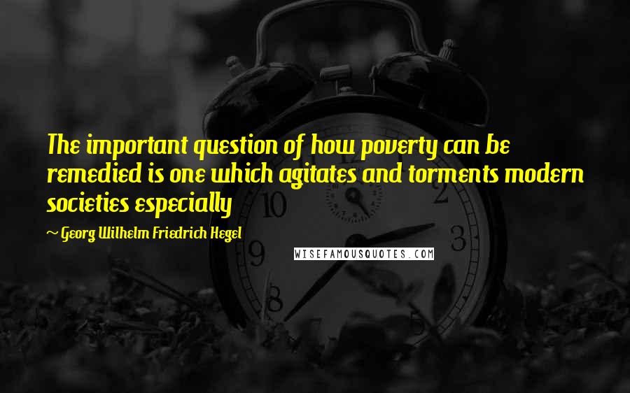 Georg Wilhelm Friedrich Hegel Quotes: The important question of how poverty can be remedied is one which agitates and torments modern societies especially