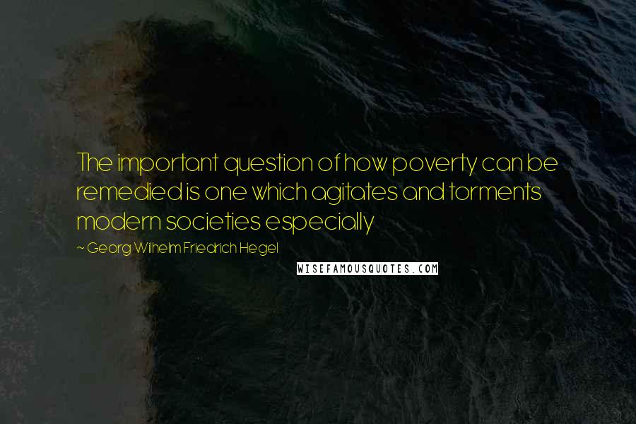 Georg Wilhelm Friedrich Hegel Quotes: The important question of how poverty can be remedied is one which agitates and torments modern societies especially