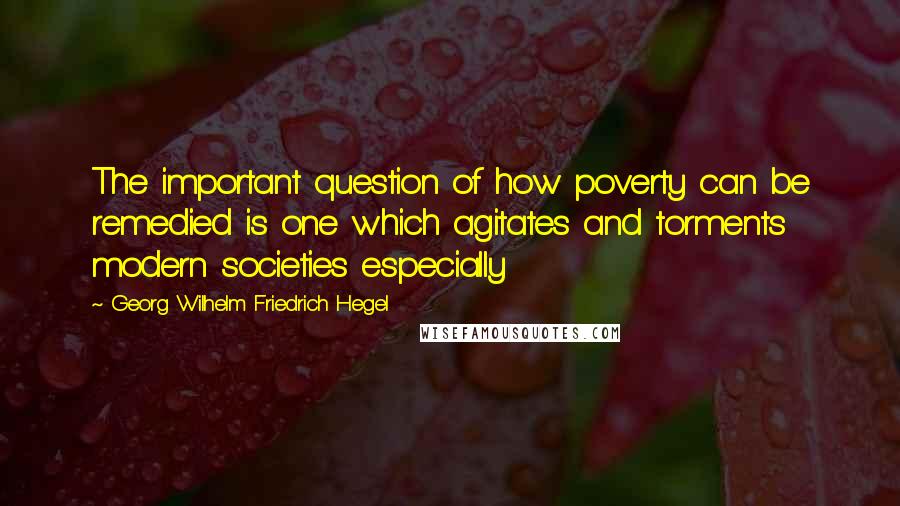Georg Wilhelm Friedrich Hegel Quotes: The important question of how poverty can be remedied is one which agitates and torments modern societies especially