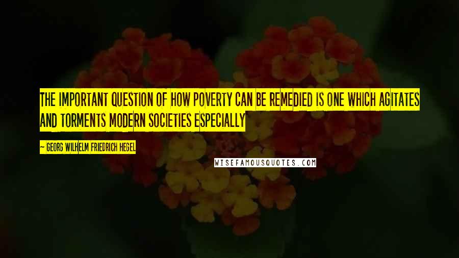 Georg Wilhelm Friedrich Hegel Quotes: The important question of how poverty can be remedied is one which agitates and torments modern societies especially