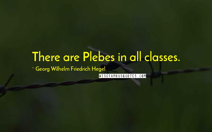 Georg Wilhelm Friedrich Hegel Quotes: There are Plebes in all classes.