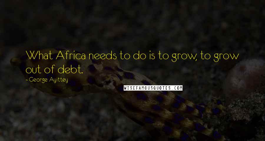 George Ayittey Quotes: What Africa needs to do is to grow, to grow out of debt.