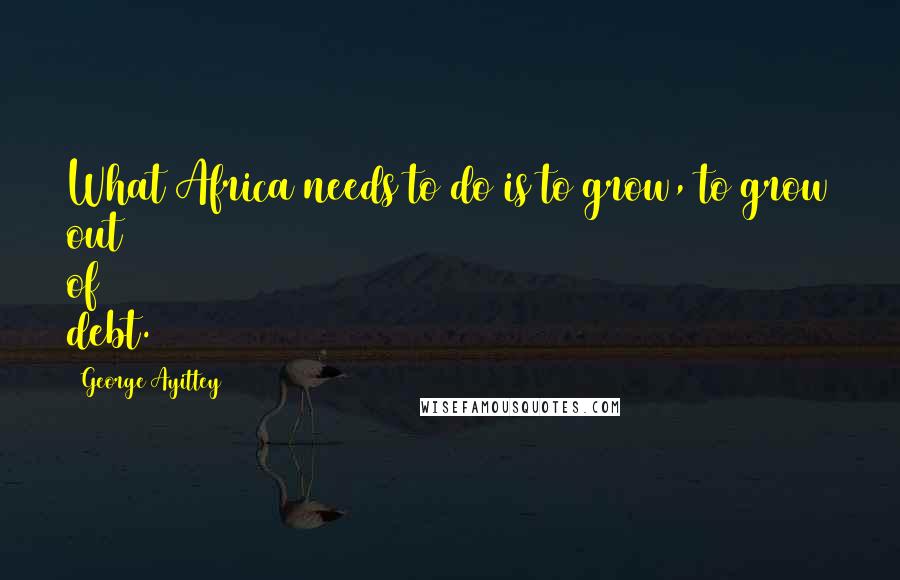 George Ayittey Quotes: What Africa needs to do is to grow, to grow out of debt.