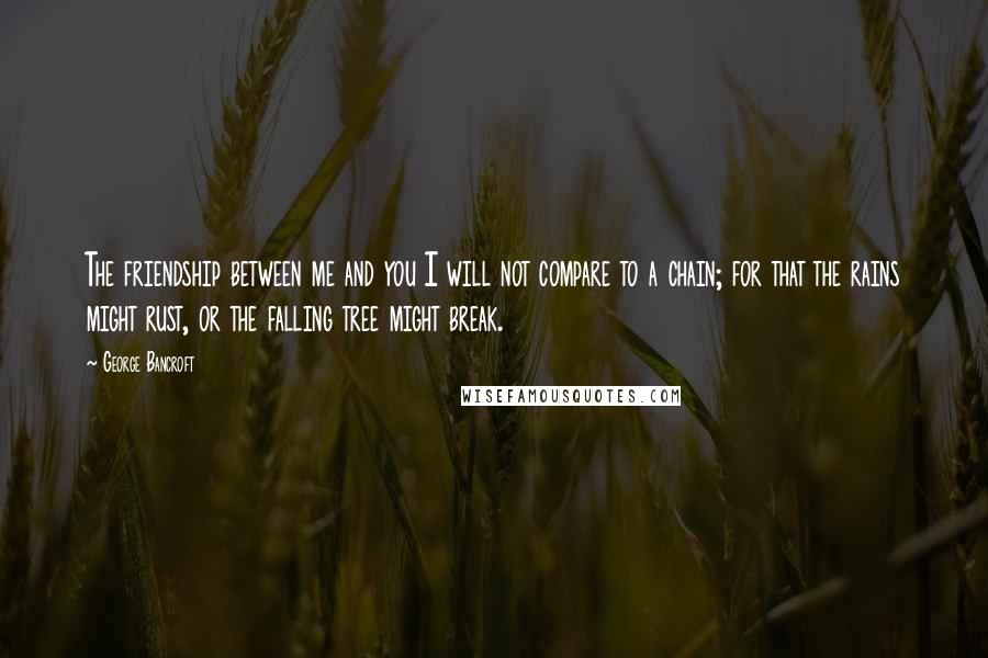 George Bancroft Quotes: The friendship between me and you I will not compare to a chain; for that the rains might rust, or the falling tree might break.