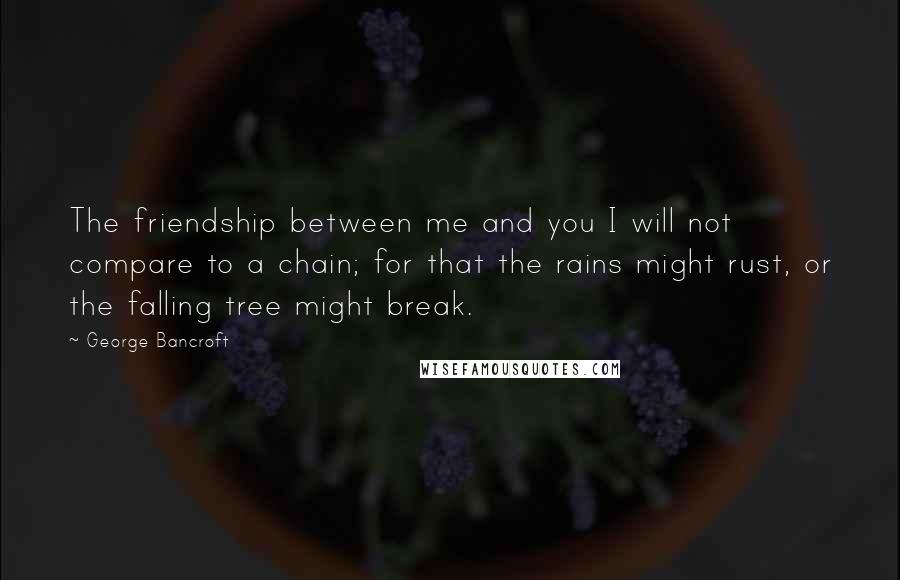 George Bancroft Quotes: The friendship between me and you I will not compare to a chain; for that the rains might rust, or the falling tree might break.