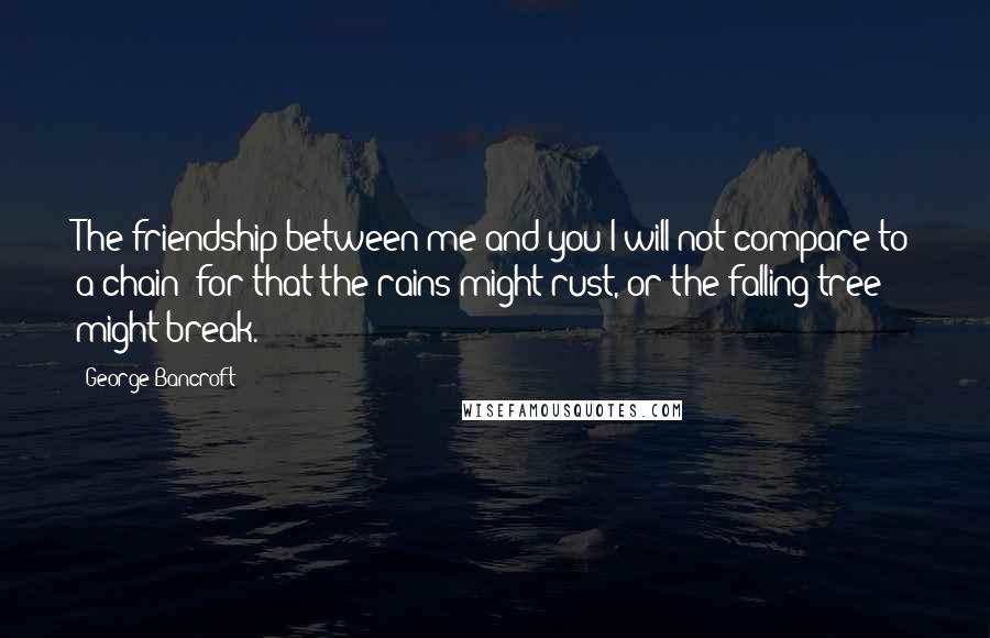 George Bancroft Quotes: The friendship between me and you I will not compare to a chain; for that the rains might rust, or the falling tree might break.