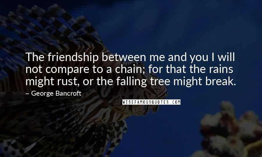 George Bancroft Quotes: The friendship between me and you I will not compare to a chain; for that the rains might rust, or the falling tree might break.