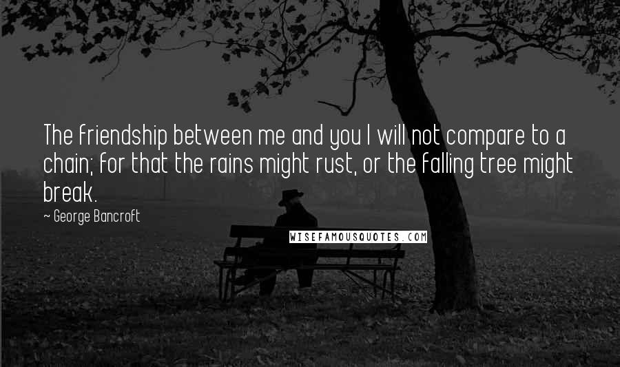 George Bancroft Quotes: The friendship between me and you I will not compare to a chain; for that the rains might rust, or the falling tree might break.