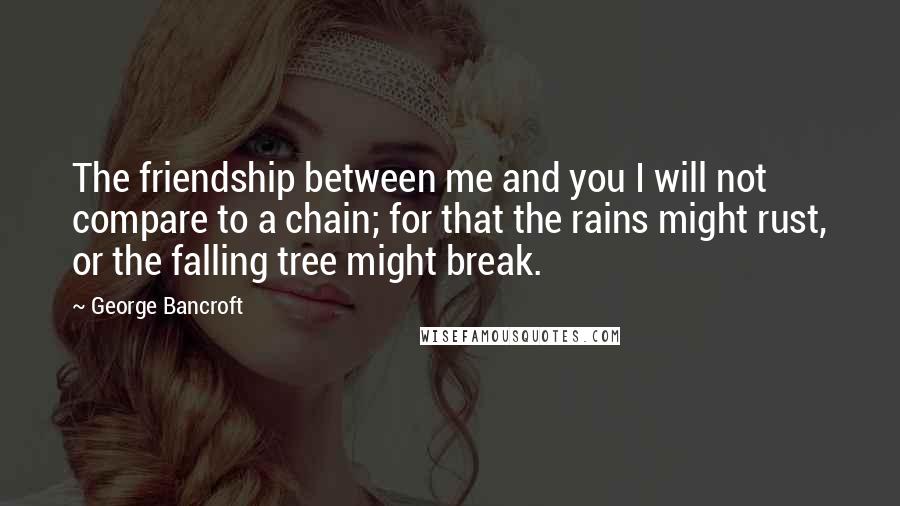 George Bancroft Quotes: The friendship between me and you I will not compare to a chain; for that the rains might rust, or the falling tree might break.