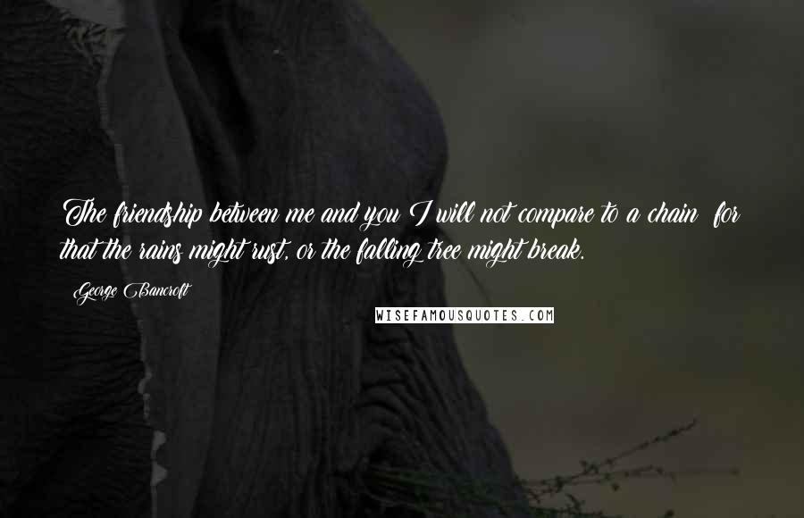 George Bancroft Quotes: The friendship between me and you I will not compare to a chain; for that the rains might rust, or the falling tree might break.