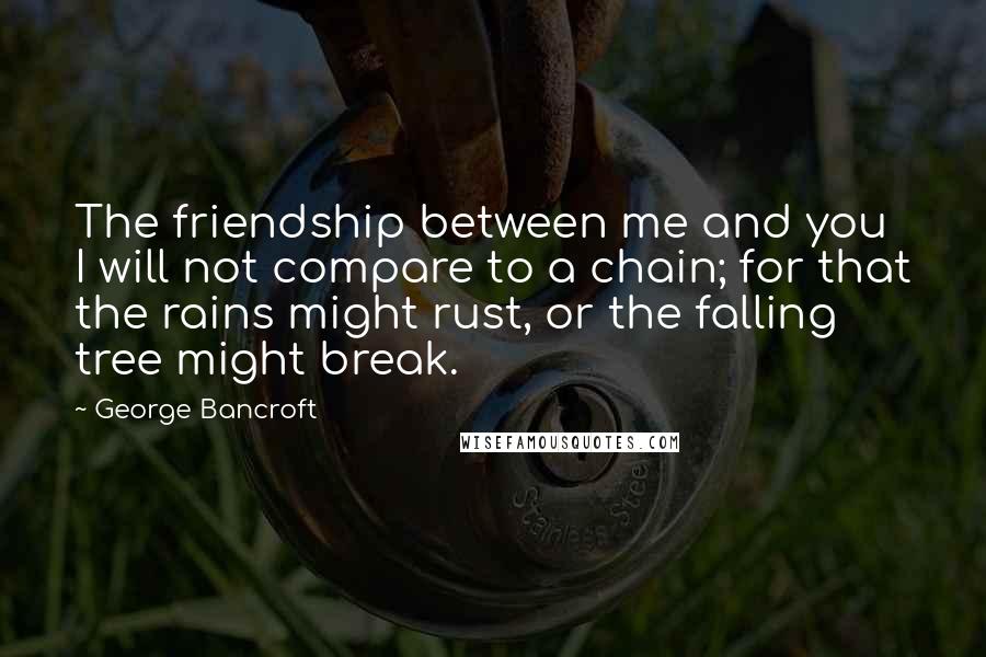 George Bancroft Quotes: The friendship between me and you I will not compare to a chain; for that the rains might rust, or the falling tree might break.