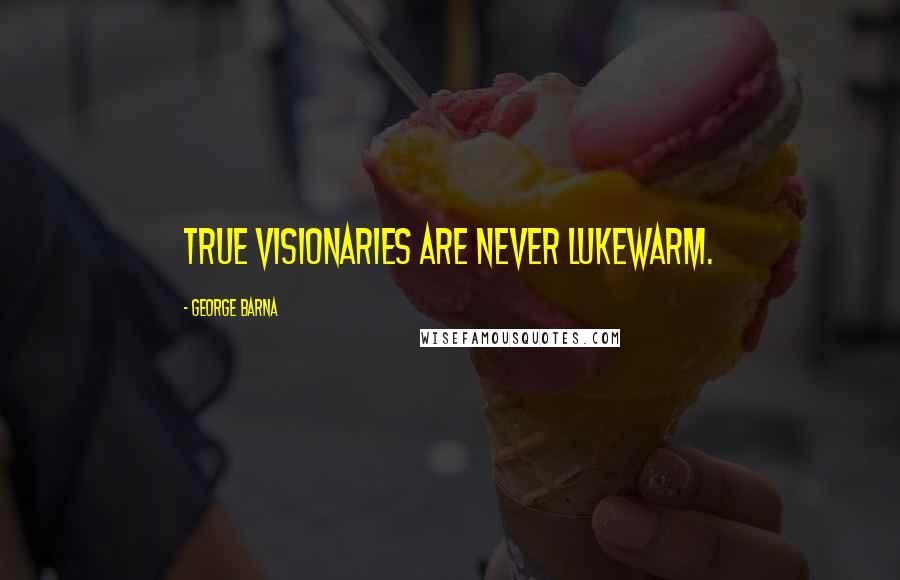 George Barna Quotes: True visionaries are never lukewarm.