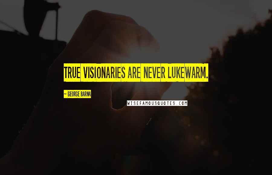 George Barna Quotes: True visionaries are never lukewarm.